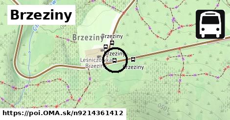 Brzeziny