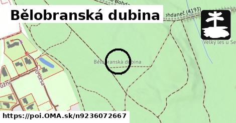 Bělobranská dubina