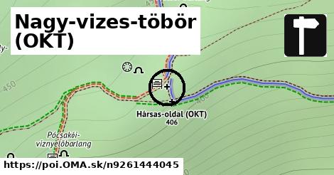 Nagy-vizes-töbör (OKT)