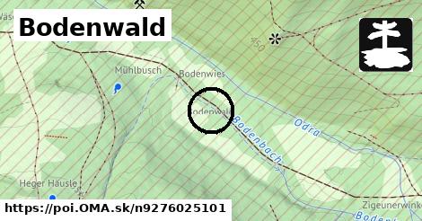 Bodenwald