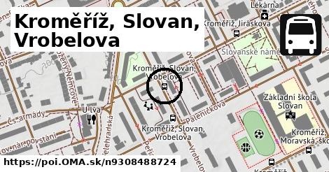 Kroměříž, Slovan, Vrobelova