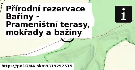 Přírodní rezervace Bařiny - Prameništní terasy, mokřady a bažiny