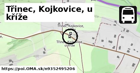 Třinec, Kojkovice, u kříže