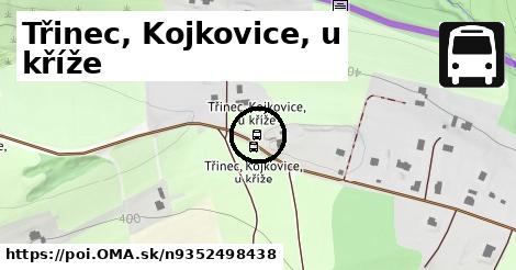 Třinec, Kojkovice, u kříže