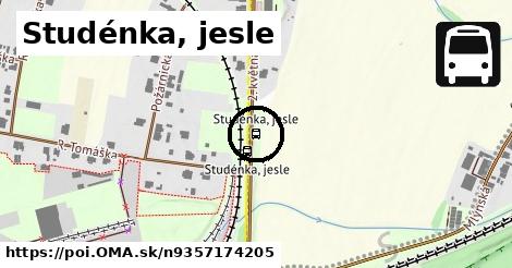 Studénka, jesle