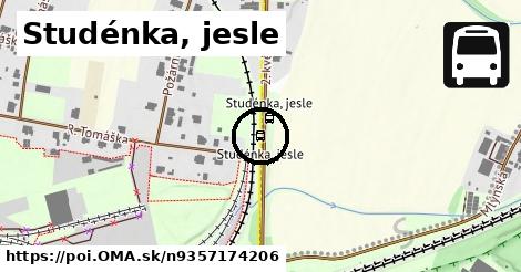 Studénka, jesle