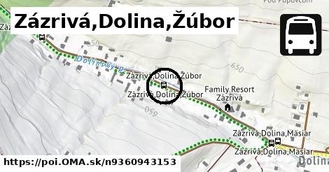 Zázrivá,Dolina,Žúbor