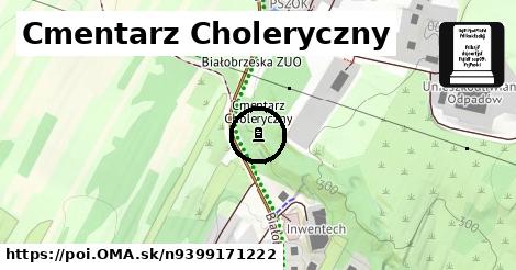 Cmentarz Choleryczny