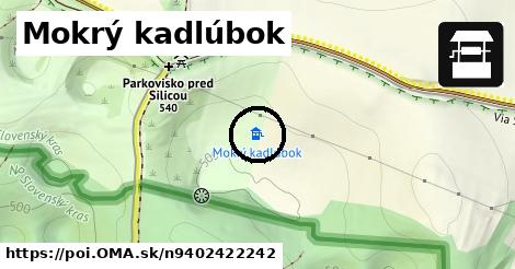 Mokrý kadlúbok