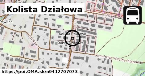 Kolista Działowa