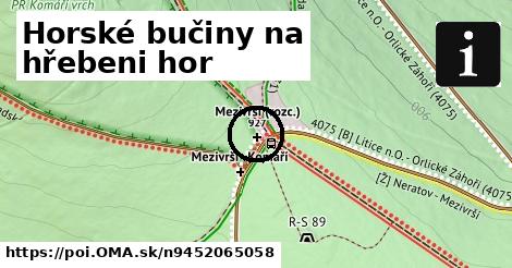 Horské bučiny na hřebeni hor