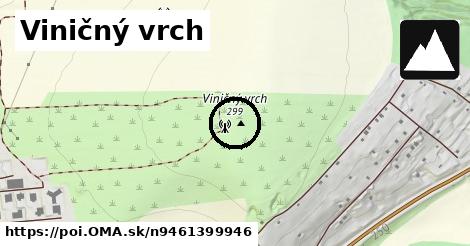 Viničný vrch