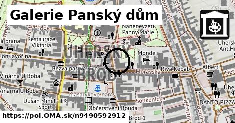 Galerie Panský dům