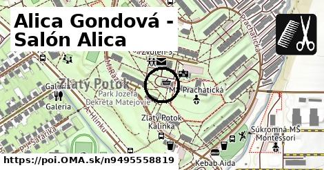 Alica Gondová - Salón Alica