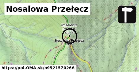 Nosalowa Przełęcz