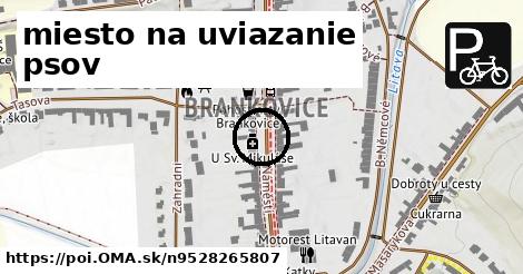 miesto na uviazanie psov