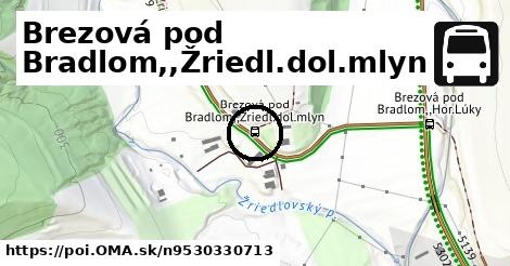 Brezová pod Bradlom,,Žriedl.dol.mlyn