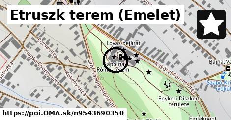 Etruszk terem (Emelet)