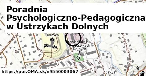 Poradnia Psychologiczno-Pedagogiczna w Ustrzykach Dolnych