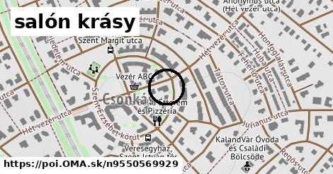 salón krásy