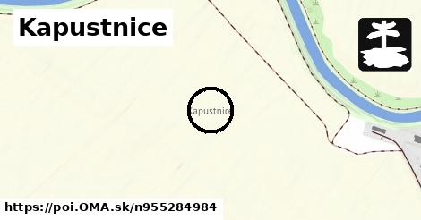 Kapustnice