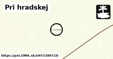 Pri hradskej