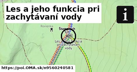 Les a jeho funkcia pri zachytávaní vody