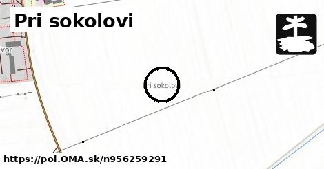 Pri sokolovi