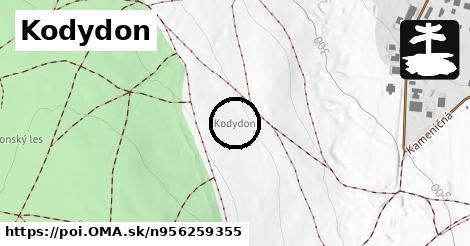 Kodydon