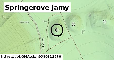 Springerove jamy