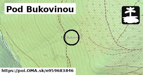 Pod Bukovinou