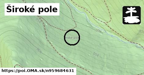 Široké pole