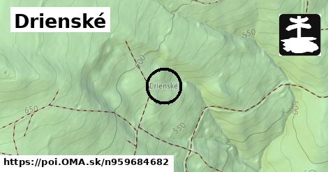 Drienské