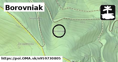 Borovniak