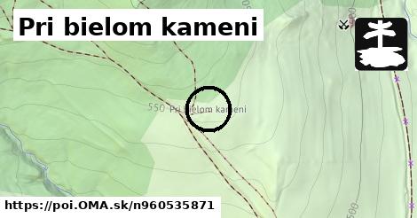 Pri bielom kameni