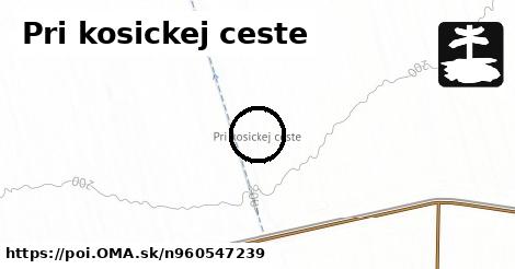 Pri kosickej ceste