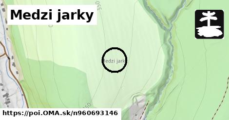 Medzi jarky