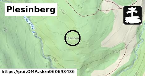 Plesinberg