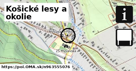 Košické lesy a okolie