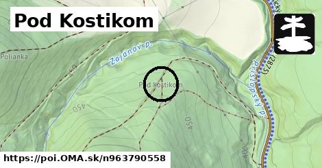 Pod Kostikom