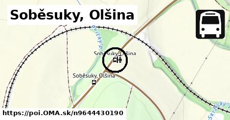 Soběsuky, Olšina