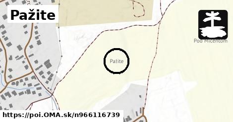 Pažite