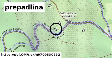 prepadlina