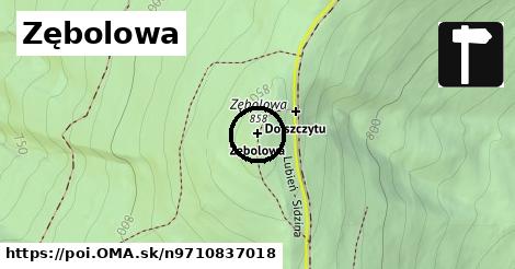 Zębolowa