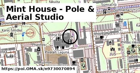 Mint House - Pole & Aerial Studio