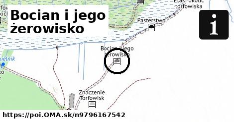 Bocian i jego żerowisko