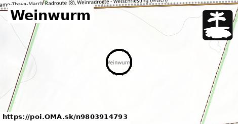 Weinwurm