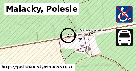 Malacky, Polesie