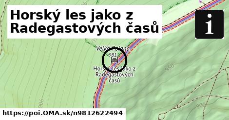 Horský les jako z Radegastových časů