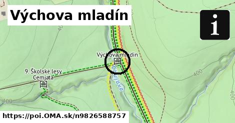 Výchova mladín